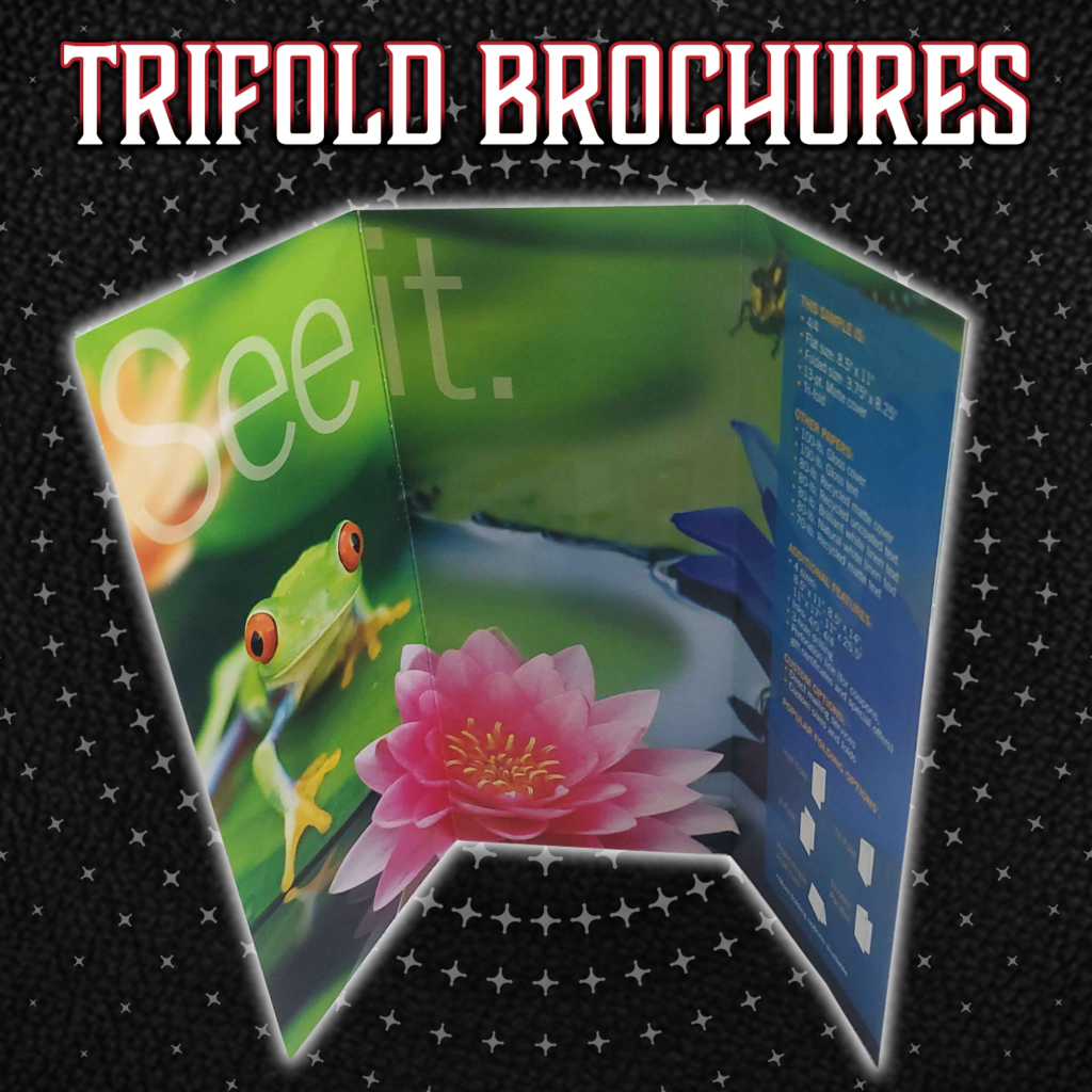 Trifold Brochure Color Printing Advertising